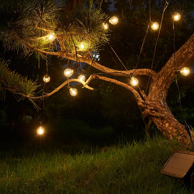 Guirlande solaire LED suspendue dans un jardin fleuri, créant une ambiance romantique et tamisée