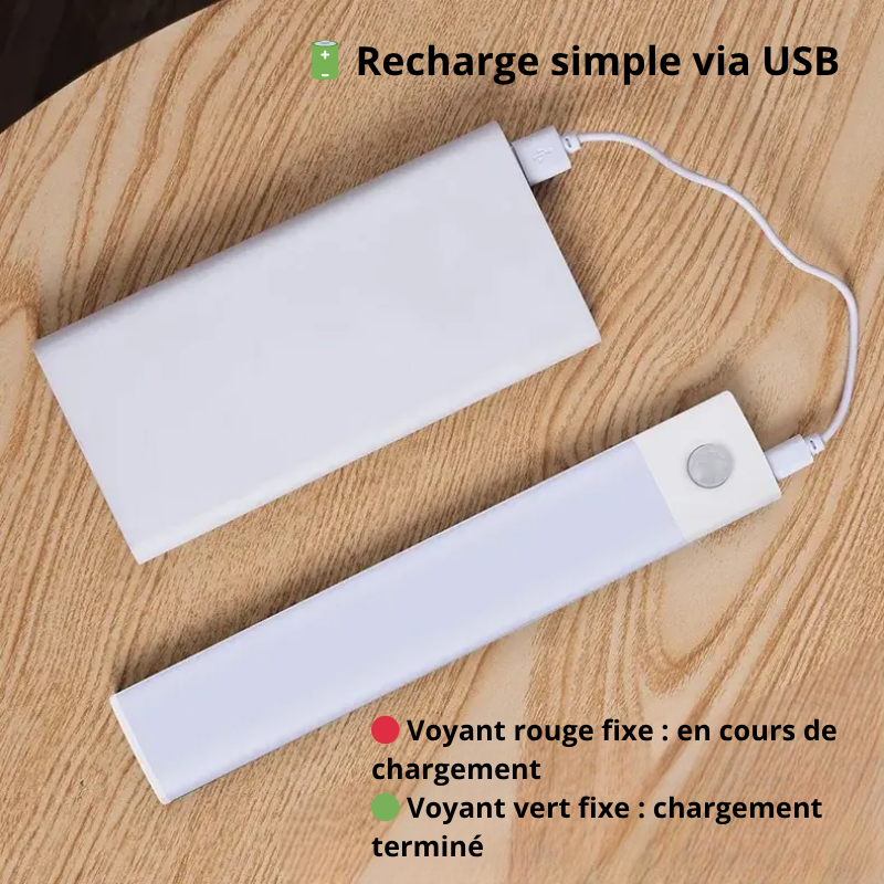 Lampe LED amovible et rechargeable pour placard