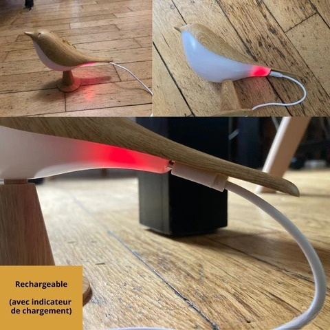 Système de recharge de la lampe en forme d'oiseau tactile