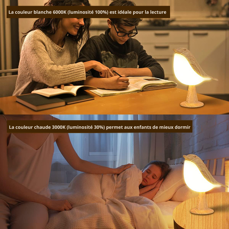Lampe oiseau idéale pour la maison dans différentes pièces grâce à son système de recharge qui la rend portable